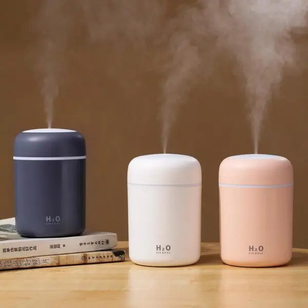 H20 Humidifier